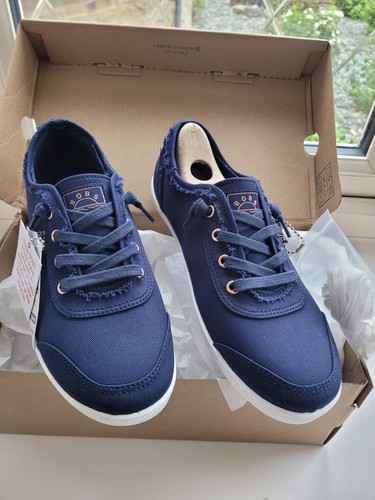 Brand new sketchers - sketchers, navy